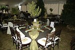 Enchanted Forest at CDCH