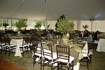 Enchanted Forest at CDCH