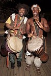 Bongo Boys