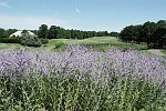 Hampton Hills Golf Club