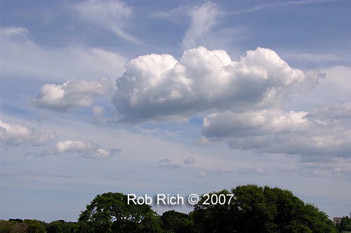 DSCF7979