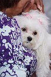Star Jones' puppy