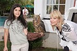 Stacey Earl, Great Horned Owl, Marcy Warren